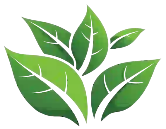 Premium Quality Polo Shirt